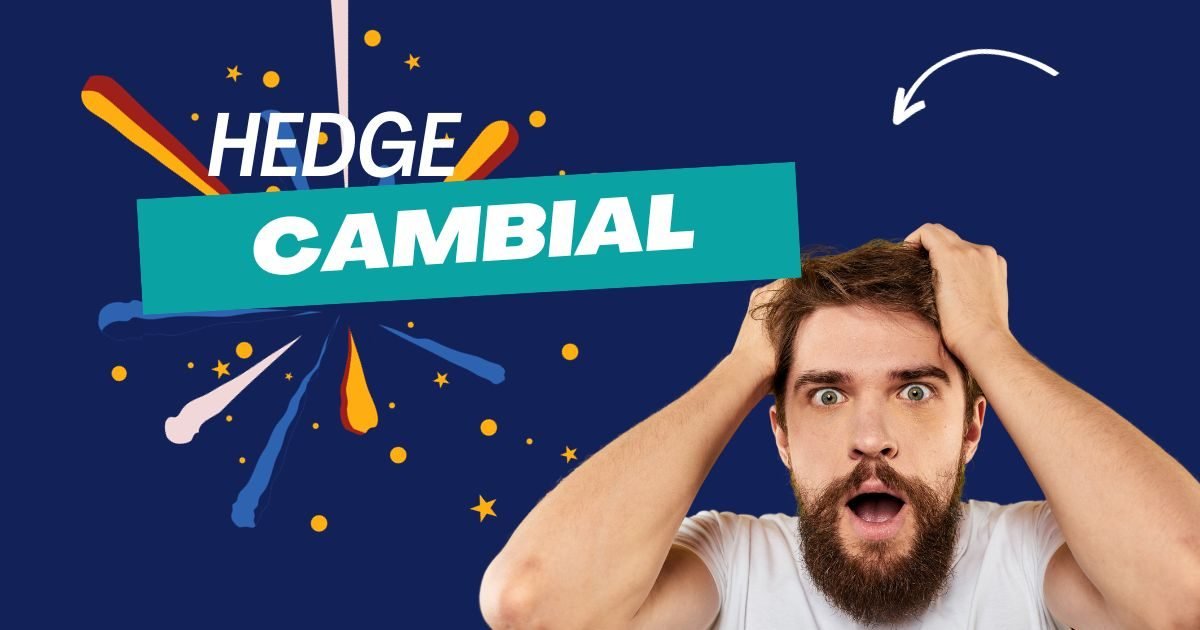 Hedge Cambial refere-se a uma estratégia adotada por empresas e investidores para proteger-se contra o risco de flutuações nas taxas de câmbio