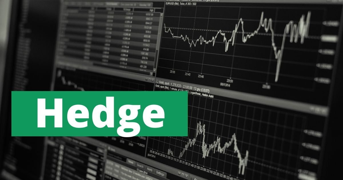 Hedge é uma estratégia financeira utilizada para minimizar ou proteger um investimento contra os riscos de movimentos adversos nos mercados.